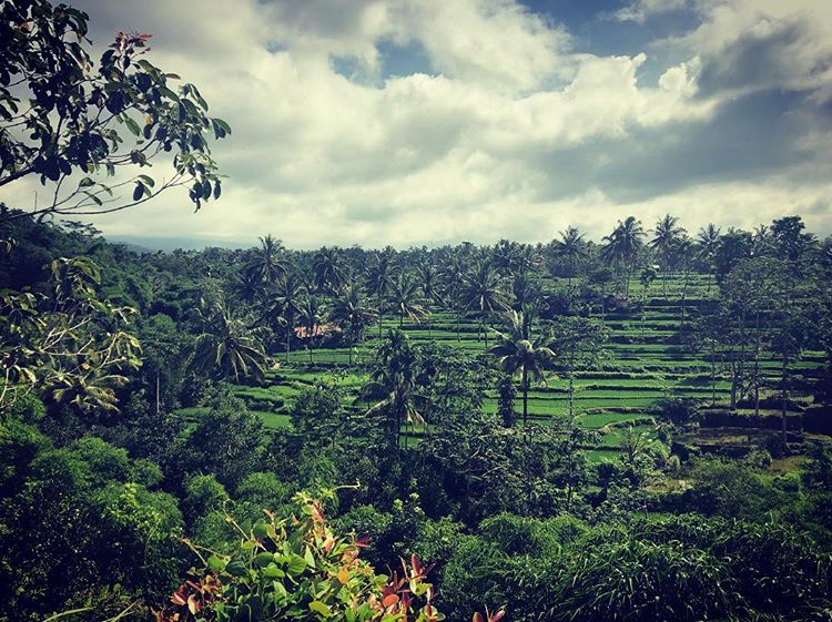 Foto pemandangan alam di desa Tetebatu Lombok, sumber ig @monmajer