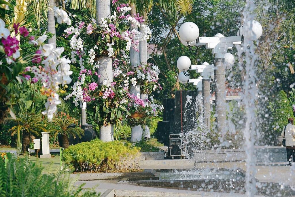 Penampakan sejumlah bunga anggrek yang turut mempercamtik Taman Surya Balai Kota Surabaya, Sumber : surabaya.go.id